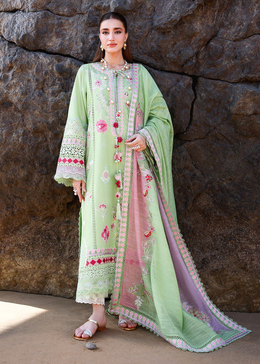 Saira Shakira Lawn NOOR-2B